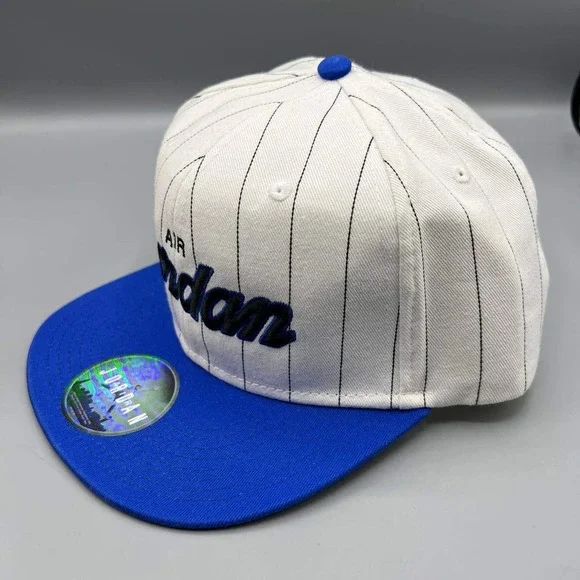Air Jordan Hat Men White Blue‎ Pinstripe Jumpman Snap Back Cap